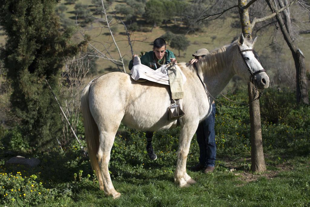 Penzion Cortijo El Berrocal Cazalla de la Sierra Exteriér fotografie